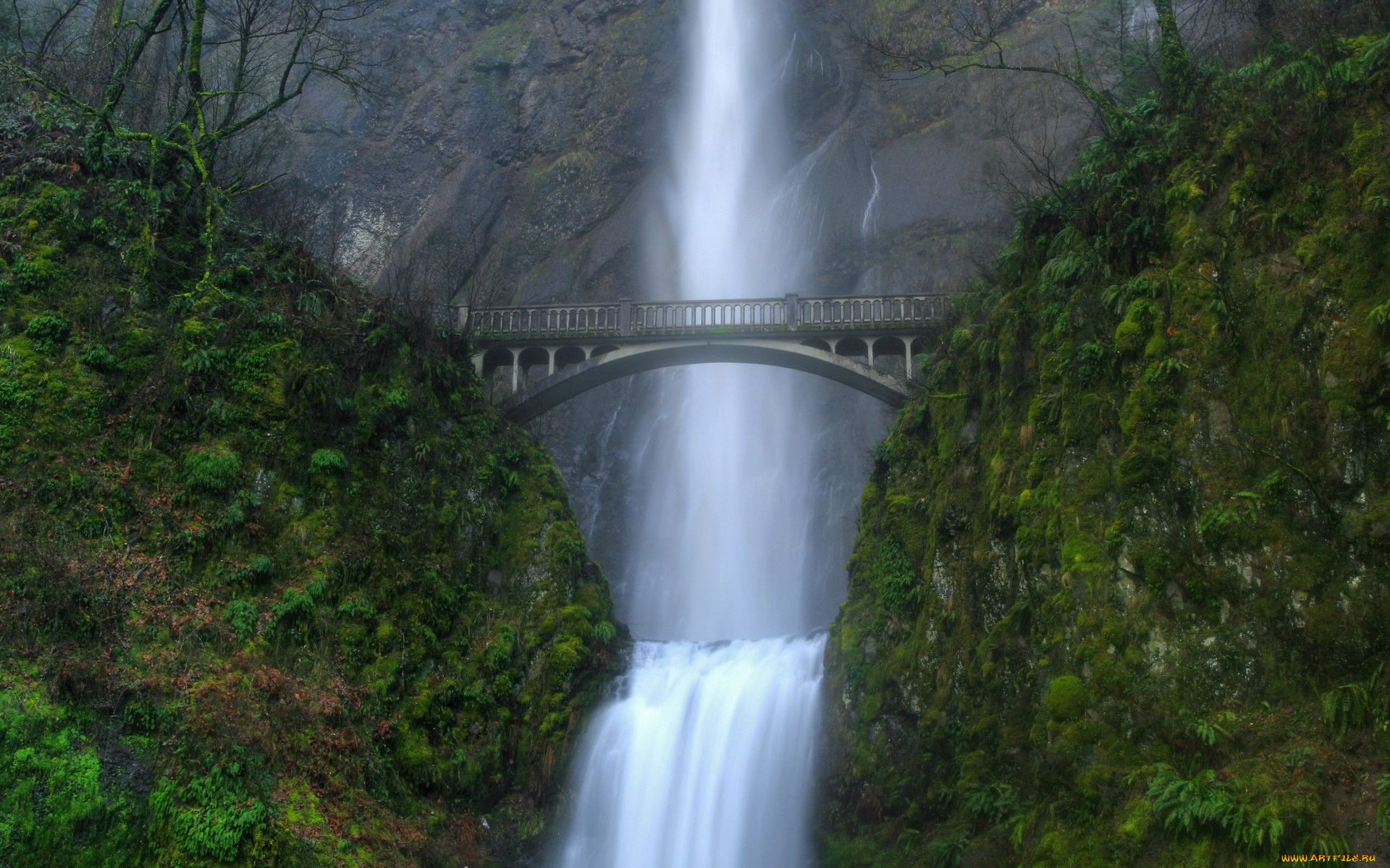 multnomah, falls, oregon, , 